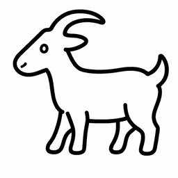 Goat  Argentina